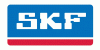 skf 100x50 1